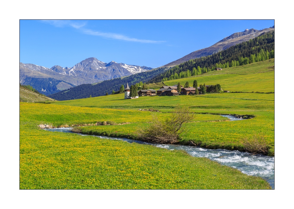 Frühling im Sertigtal #34210