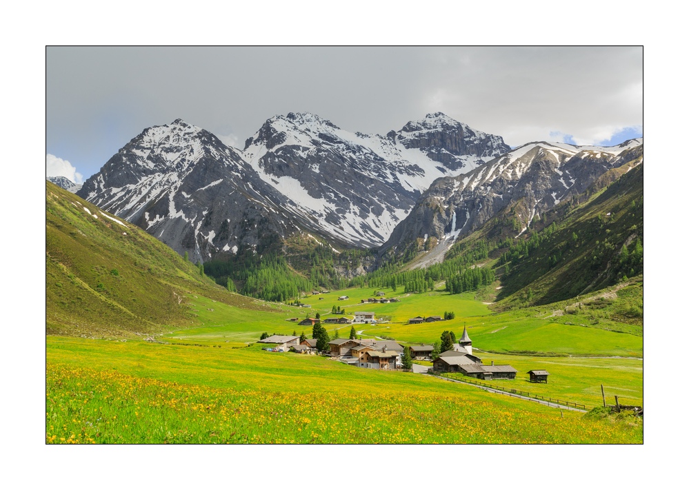 Frühling im Sertigtal #34364