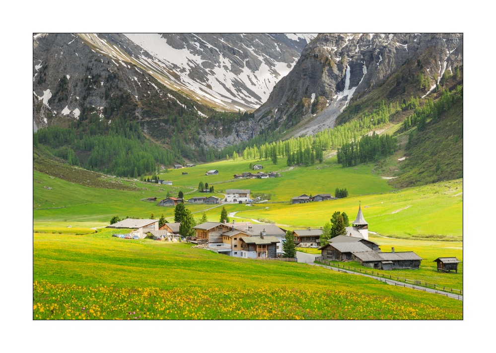 Frühling im Sertigtal #34373