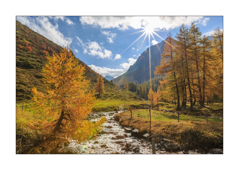 Herbst im Sertigtal #36444