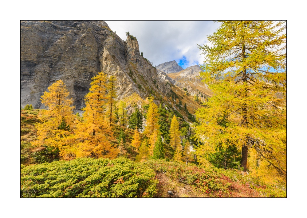 Herbst im Sertigtal #36503