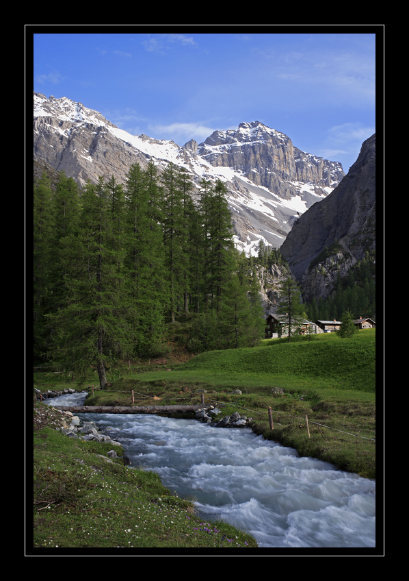 Sertig #3351