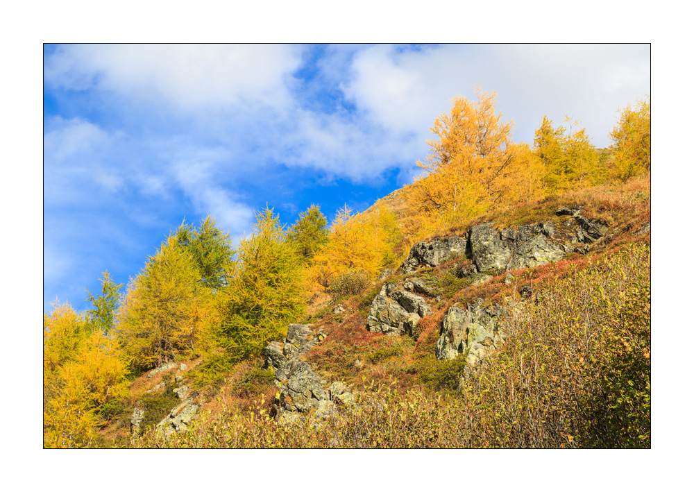 Val Tuoi #336856