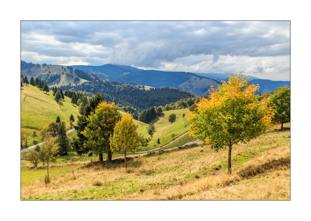 Herbst im Schwarzwald #5ds02714