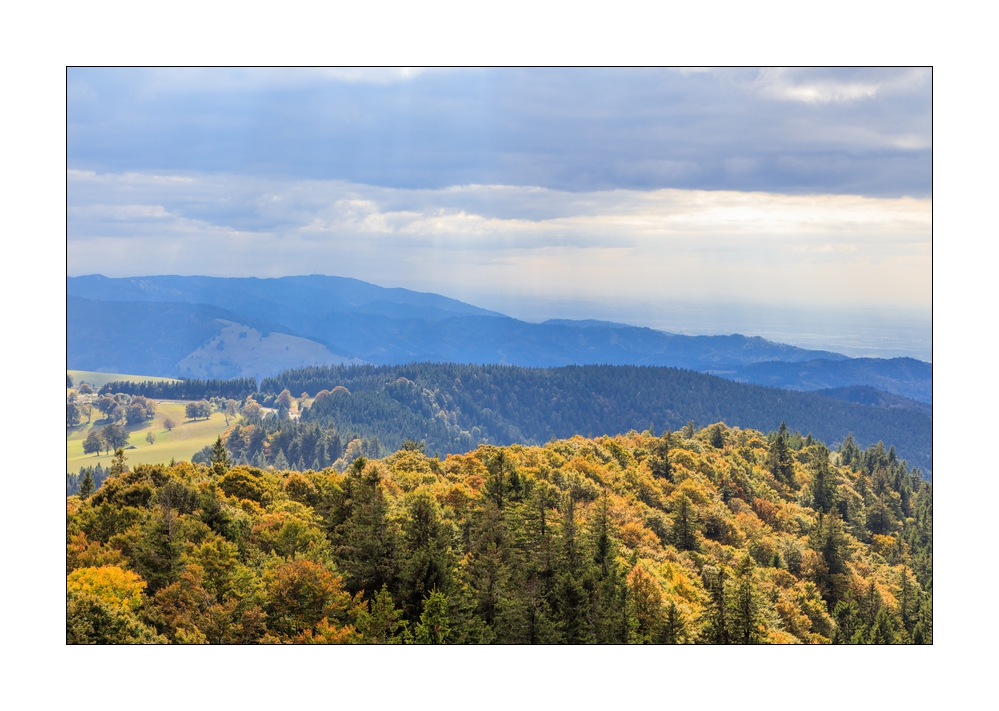 Herbst im Schwarzwald #5ds02724