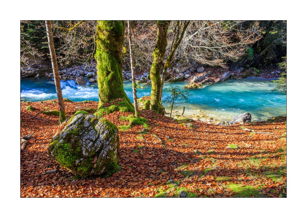 Rissbachtal #5ds03175