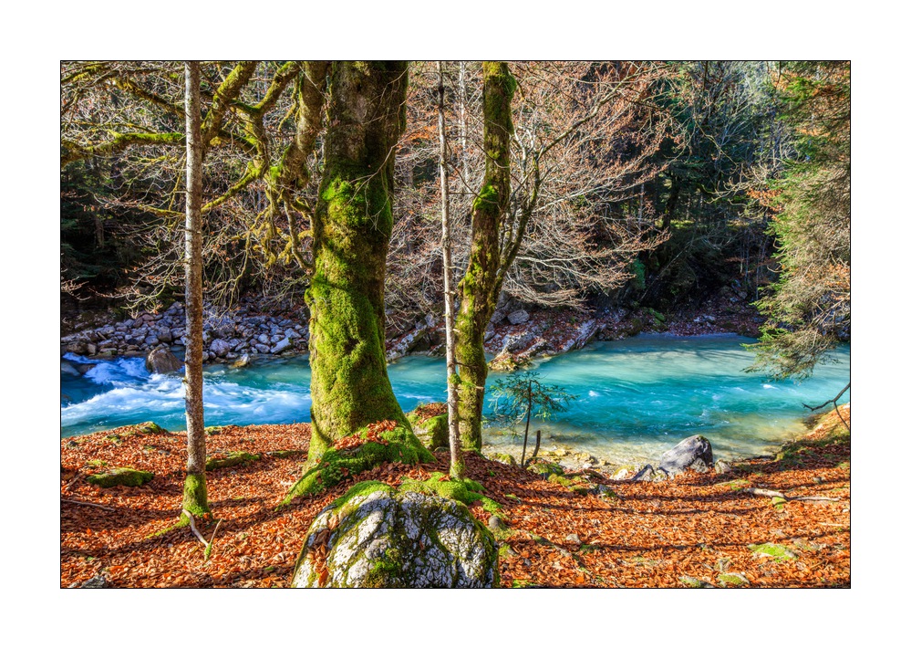 Rissbachtal #5ds03183