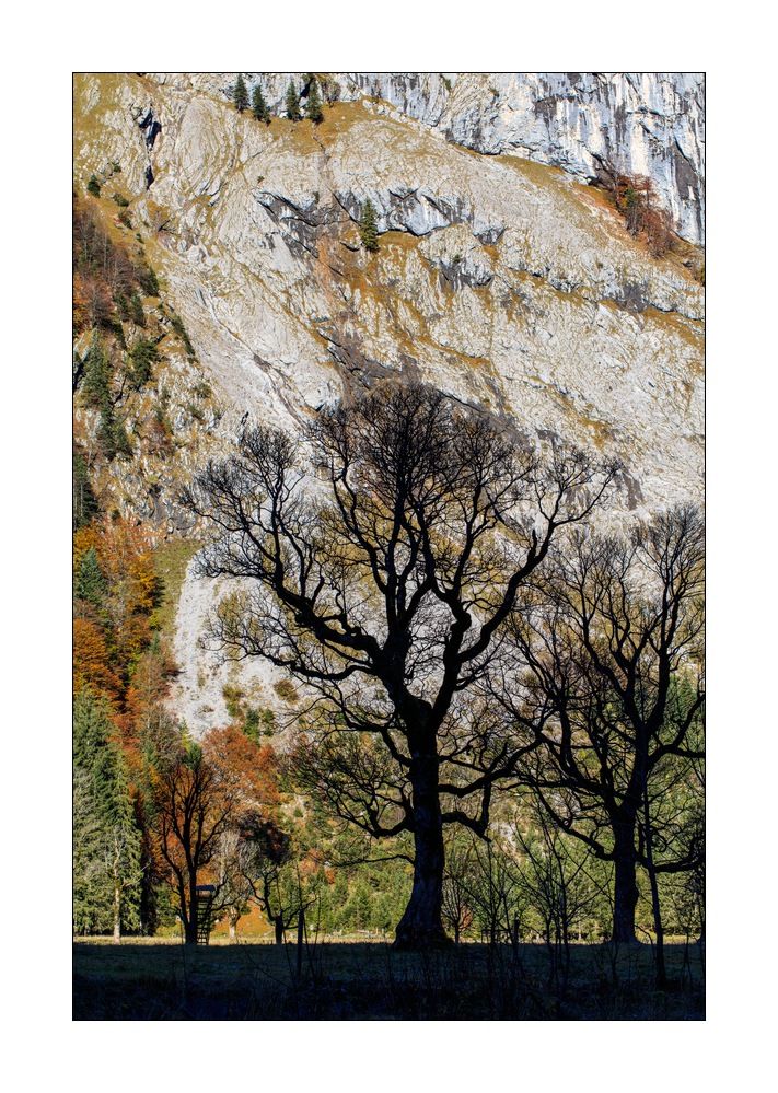 Grosser Ahornboden #5ds03055