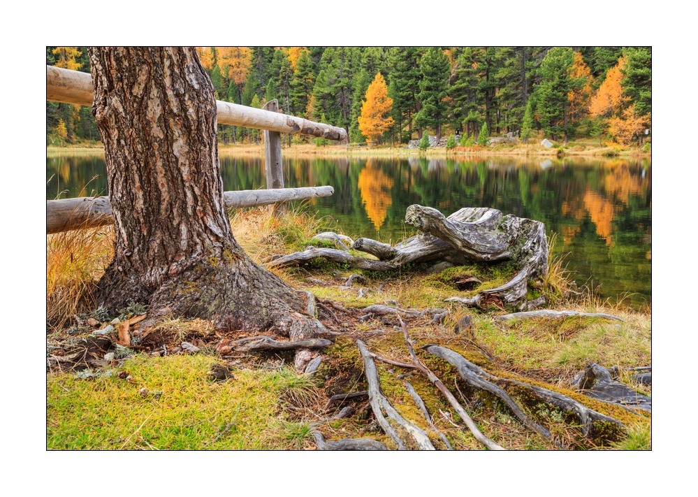 Schwarzsee #37357