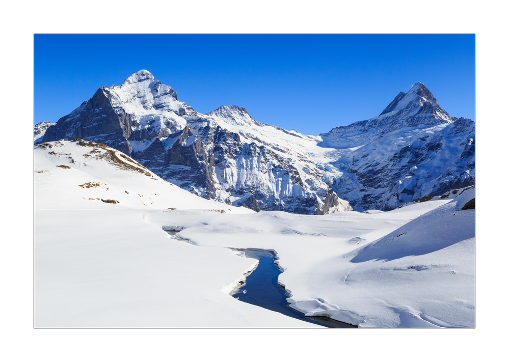 Wetterhorn Schreckhorn #332559