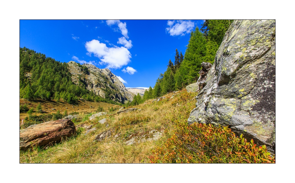 Lötschental #5D3 01315