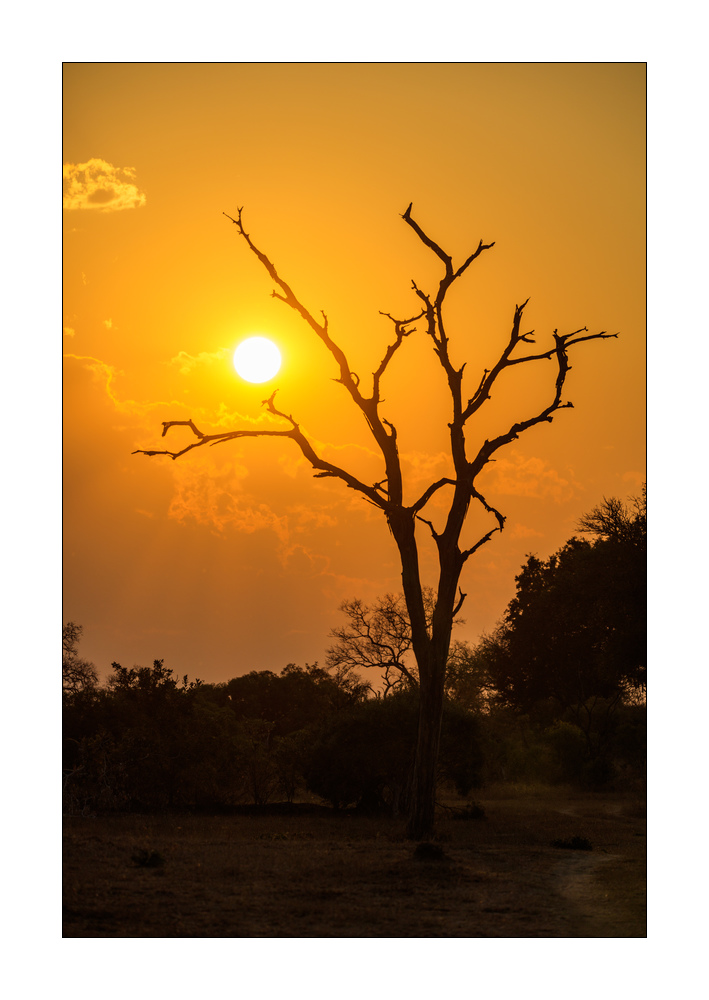 Sonnenuntergang in Südafrika #5ds00973