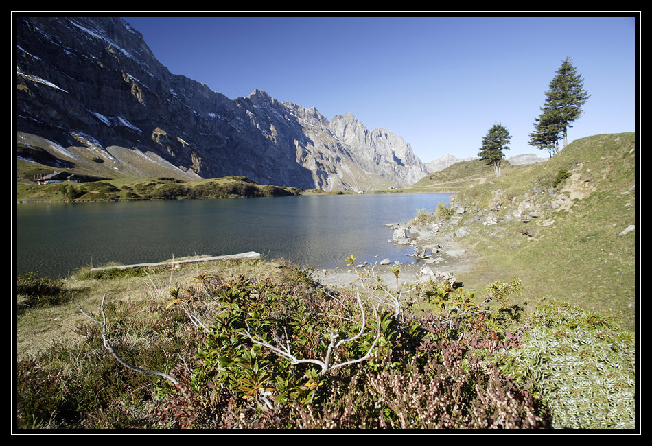 Trüebsee #1514