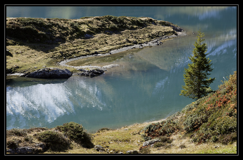 Trüebsee #1558