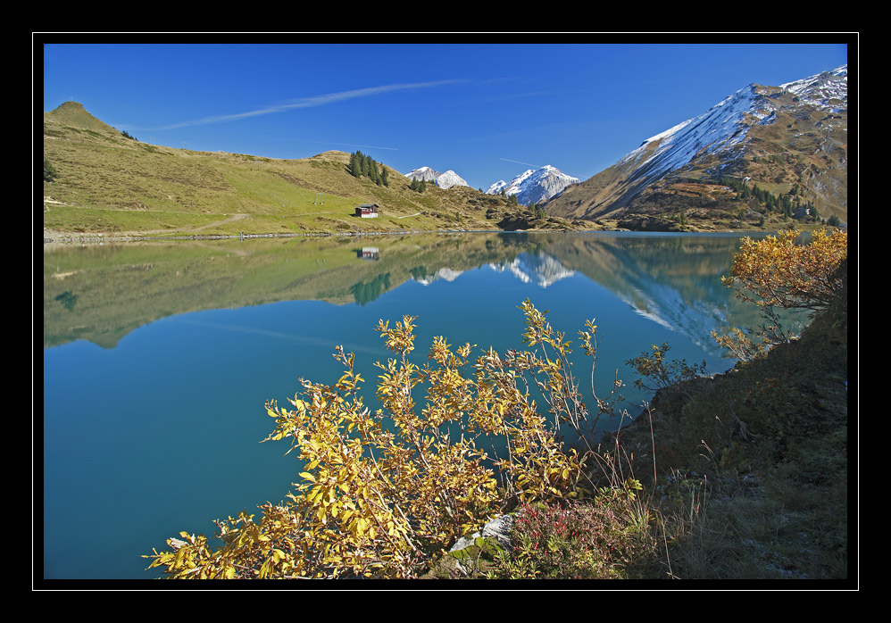 Trüebsee #1571