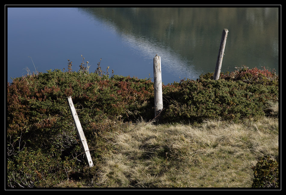 Trüebsee #1597