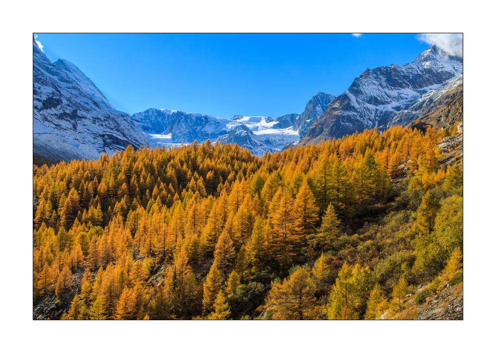 Stafelalp #5D301796