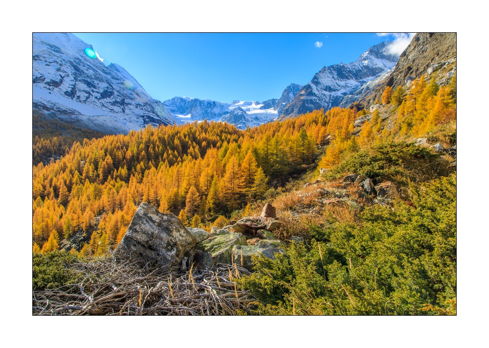 Stafelalp #5D301801