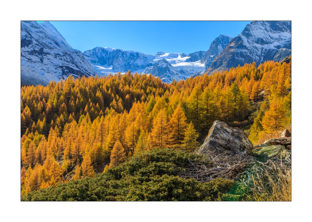 Stafelalp #5D301805