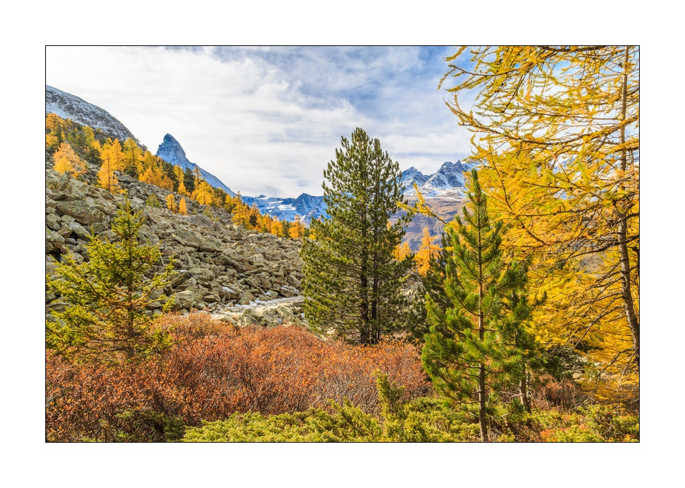 Herbst in Zermatt #5D301609
