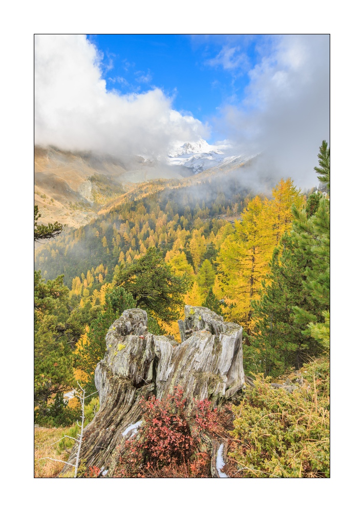 Herbst in Zermatt #5D301716