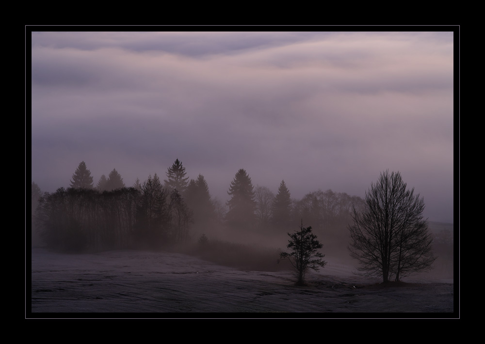 Raten Aussicht #16793