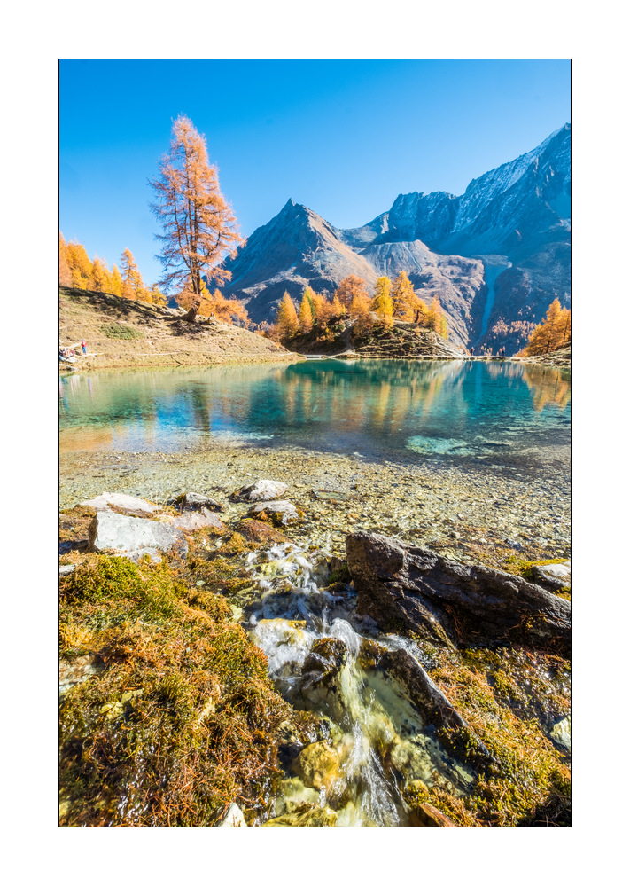 Lac Bleu #F01525