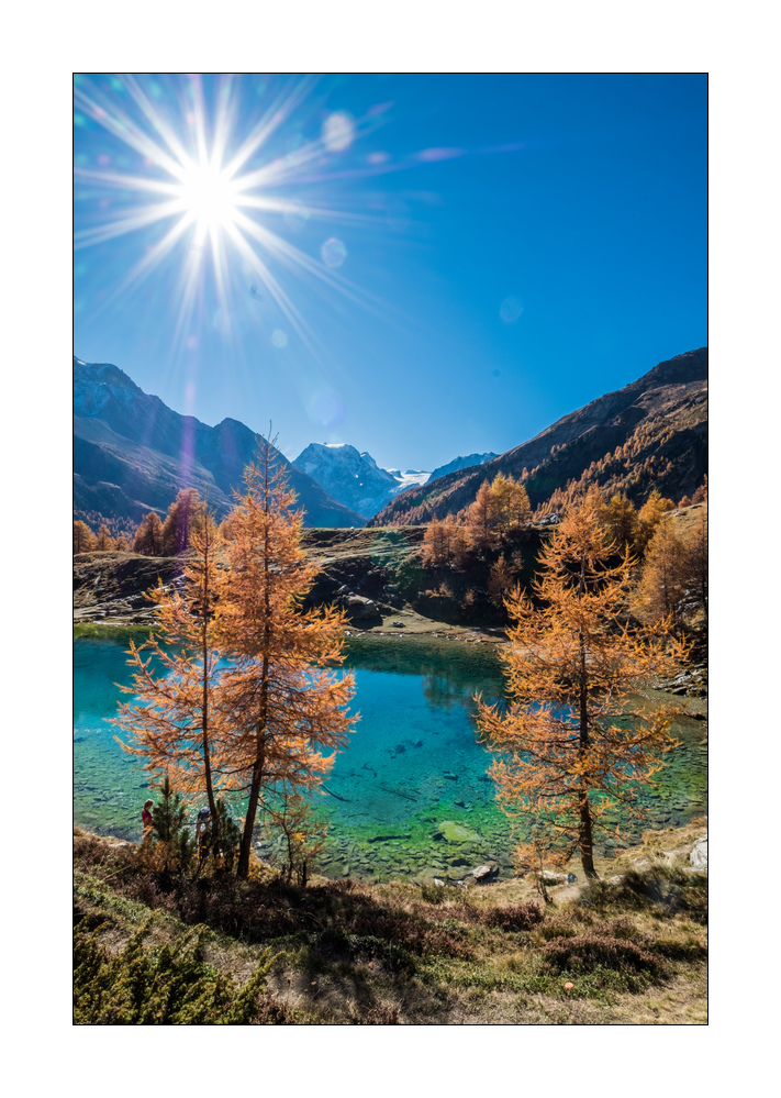 Lac Bleu #F01531
