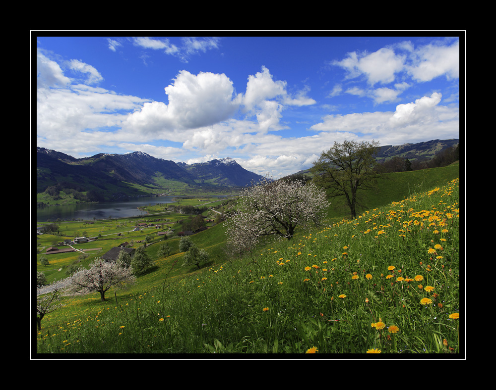 Lauerzersee Rigi #0141