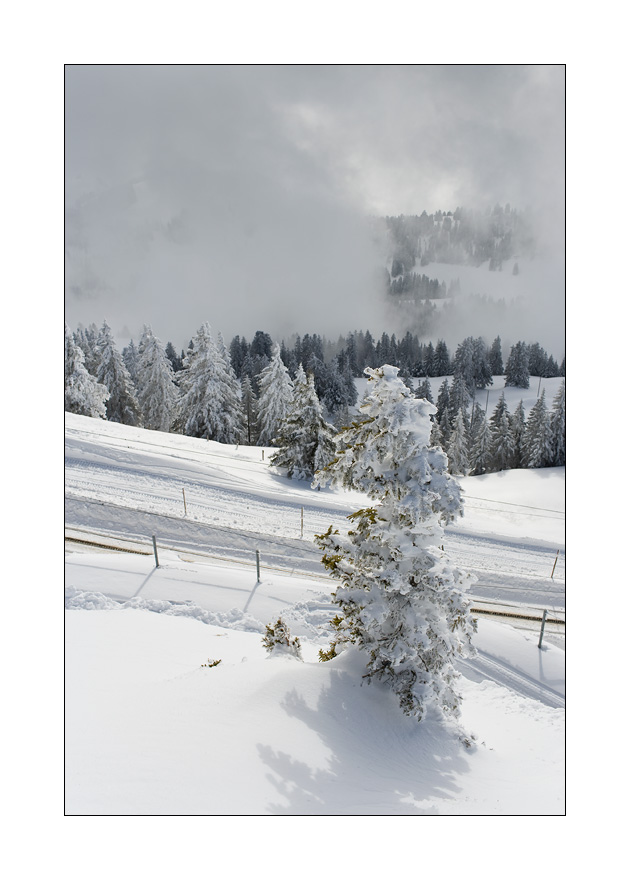 Rigi Kulm #17916