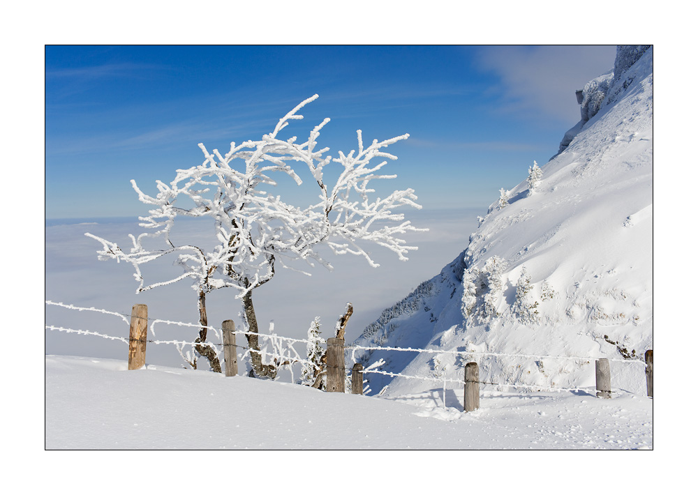 Rigi Kulm #17922