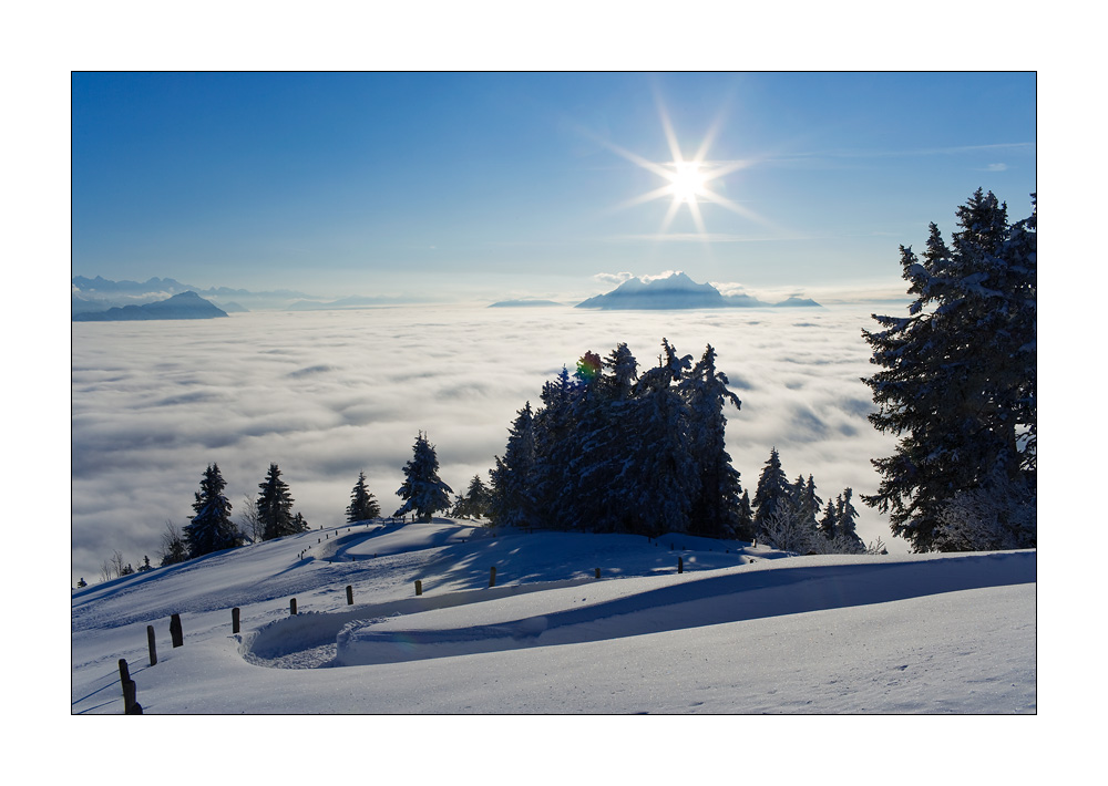 Rigi Staffelhoehe #17978