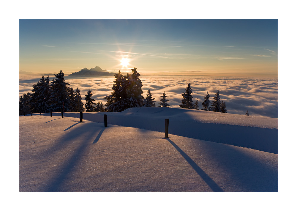 Rigi Staffelhoehe #17996
