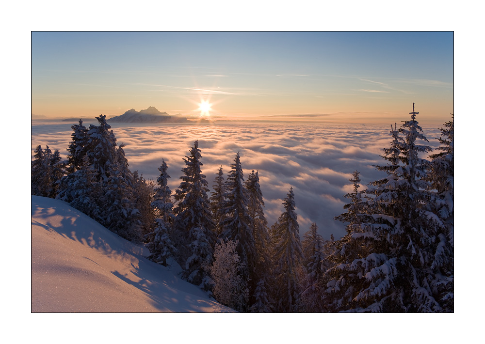 Rigi Staffelhoehe #18001