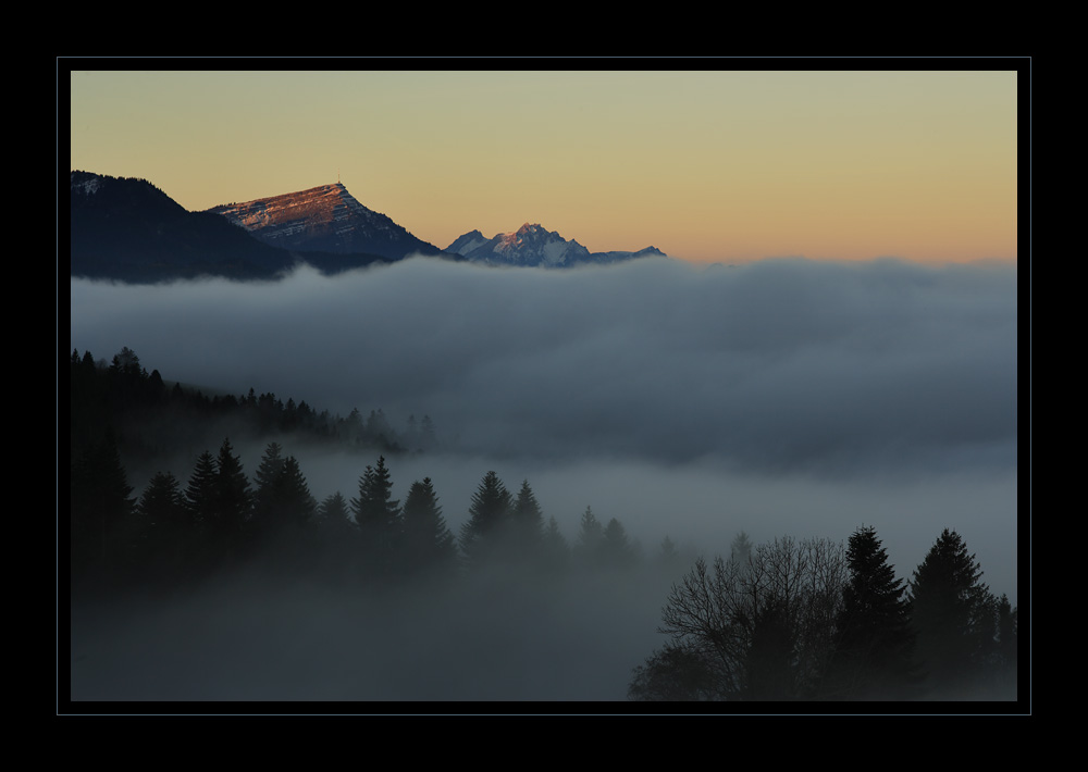 Rigi #16796