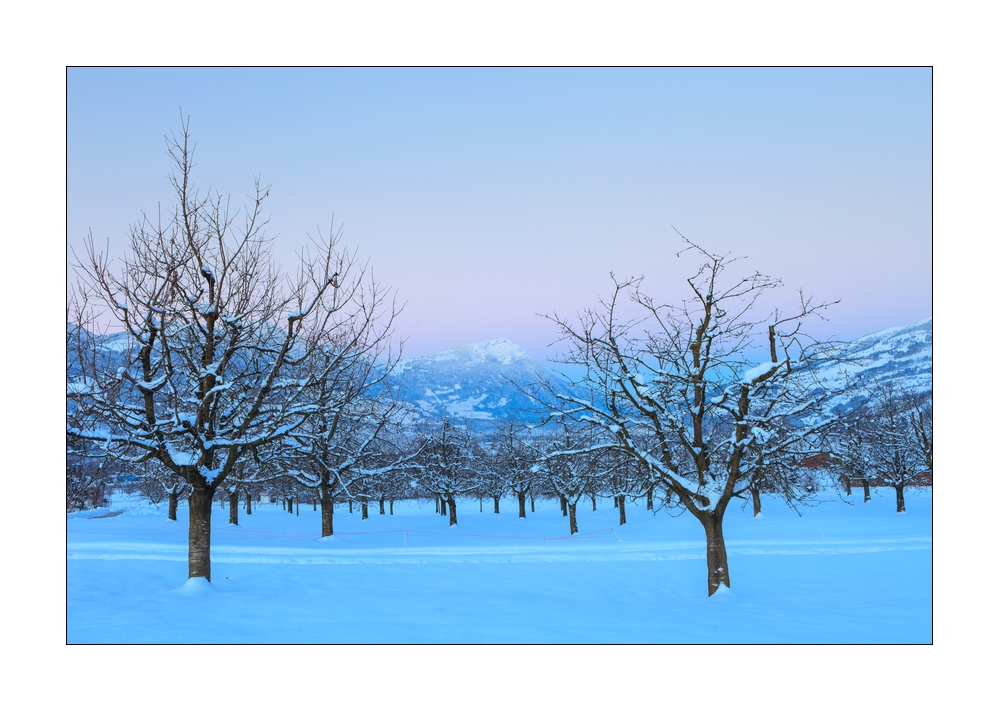 Rigi im Winter #40926