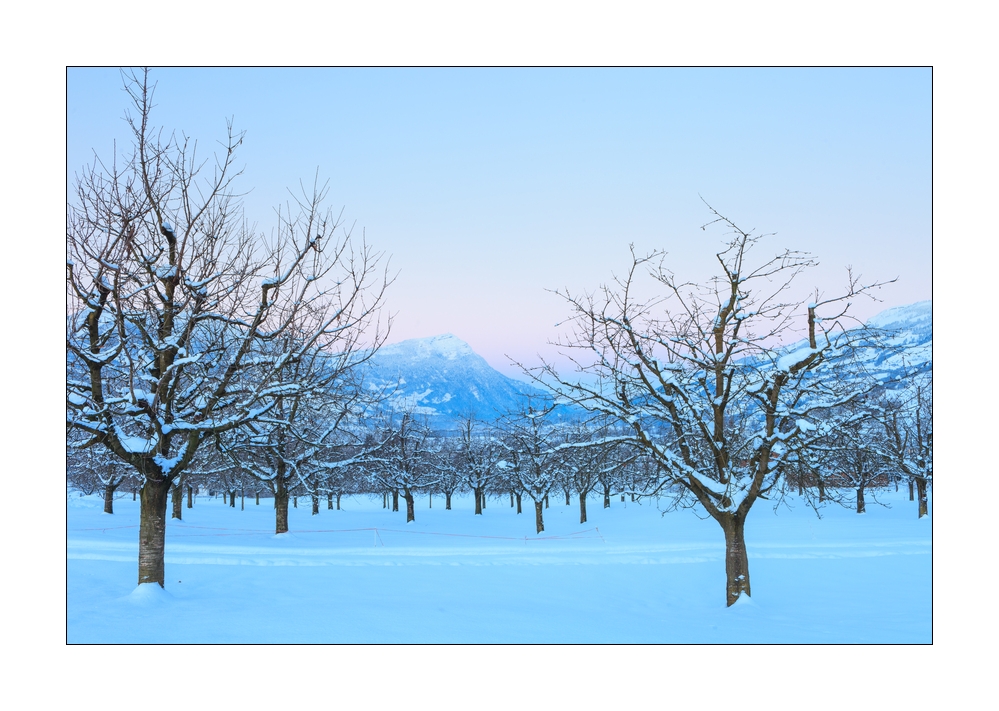 Rigi im Winter #40930