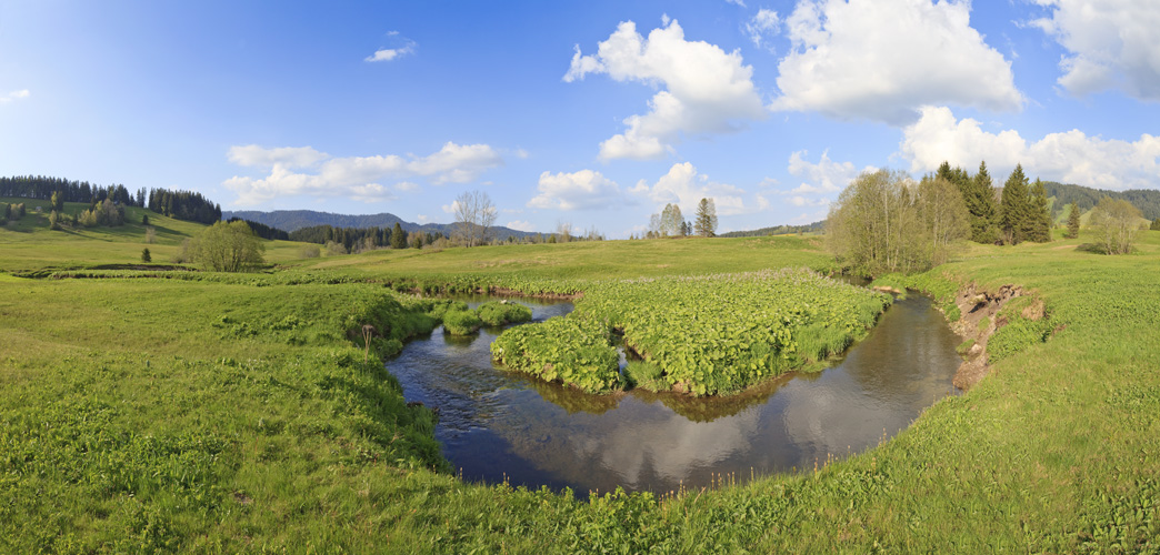 Rothenthurmer Moor Pano #29135