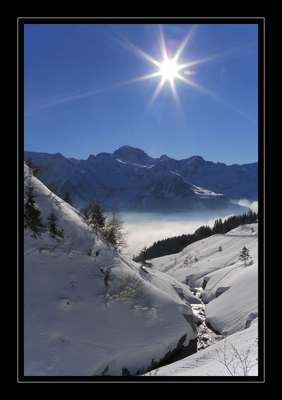 Schaechental #12042