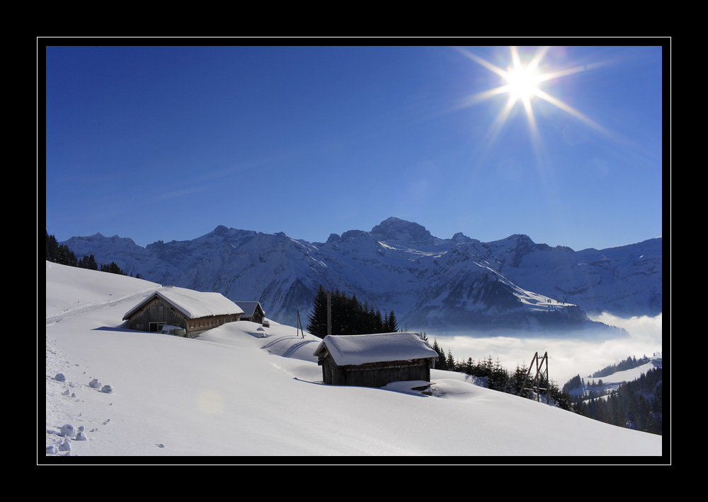 Schaechental #12056