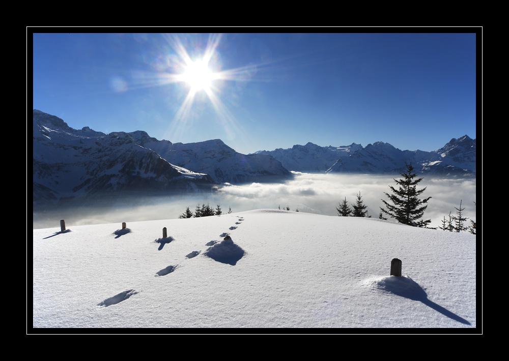 Schaechental #12077