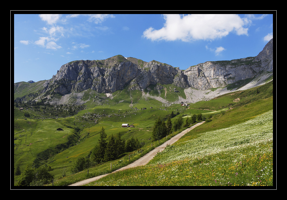 Schaechtental Ruogig #15364