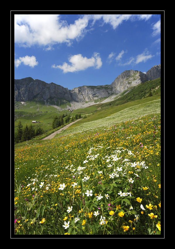Schaechtental Ruogig #15383