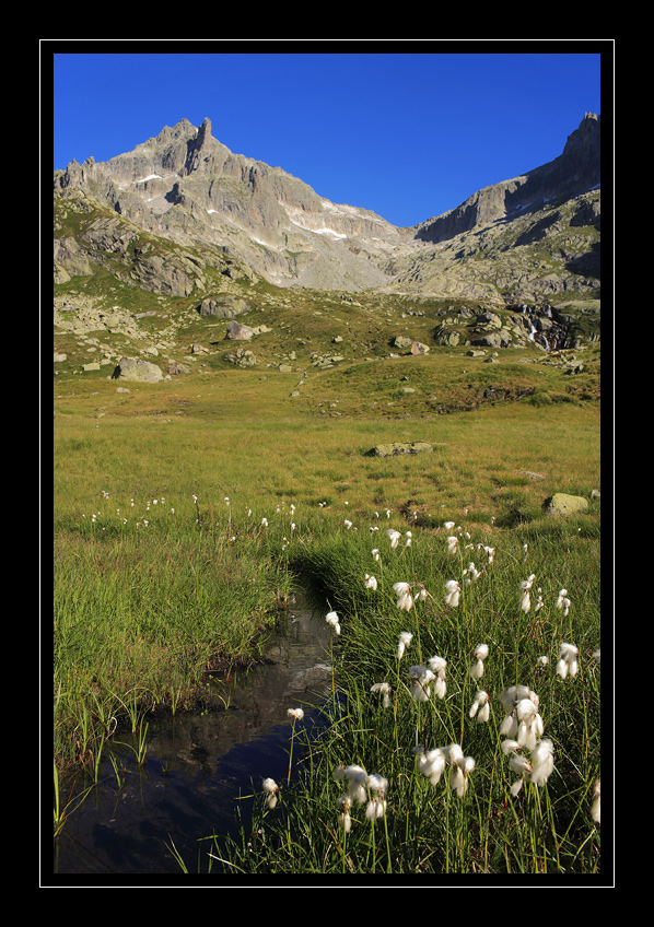 Urserental #8423