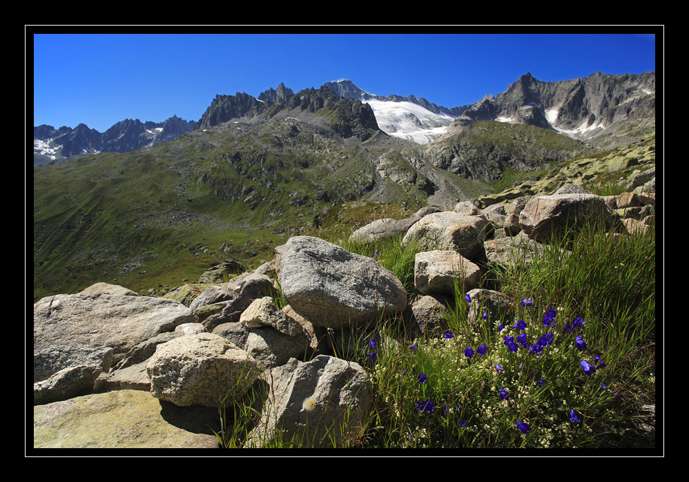 Urserental Furka #8608