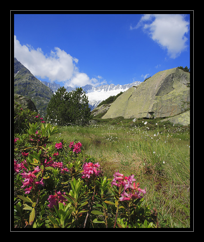 Goescheneralp #7816