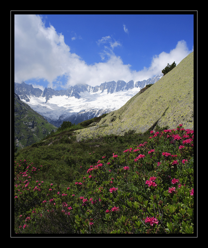 Goescheneralp #7873