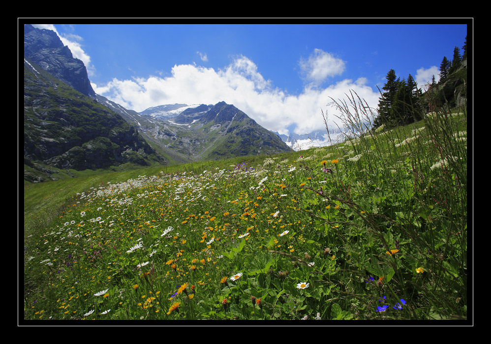 Goescheneralp #7890