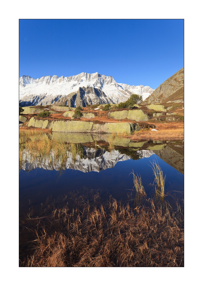 Goescheneralp mit Dammagletscher #35075