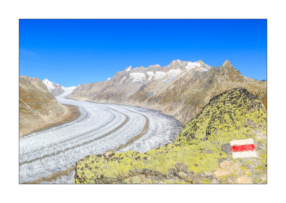 Aletschgletscher #36267
